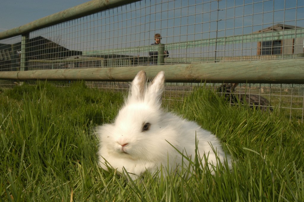 Animal-Farm-photos-115 - Hardys Animal Farm